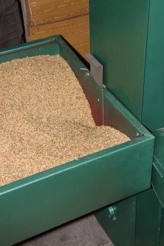 rice0035.JPG