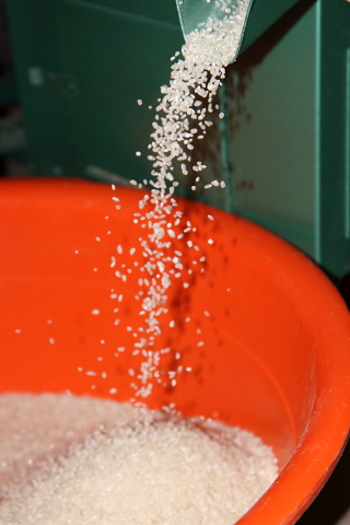 rice0041.JPG
